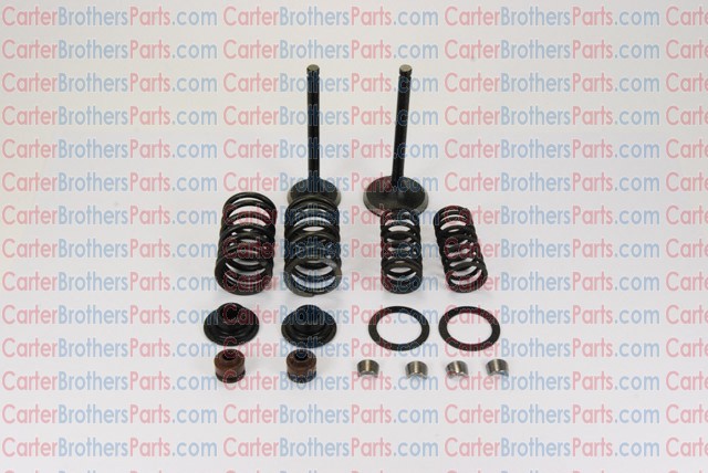 Carter Talon 150 Valves Set