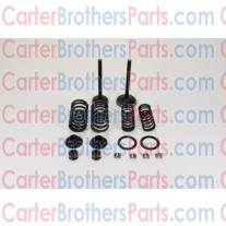 Carter Talon 150 Valves Set 