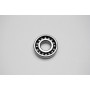 Carter Talon 150 Bearing Radial Ball E6204