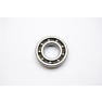 Carter Brothers GTR 250 Radial Ball Bearing 6207