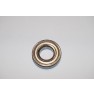 Carter Talon 150 Bearing 6206