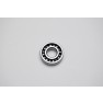 Carter Talon 150 Bearing Radial Ball E6203