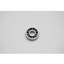 Carter Talon 150 Bearing Radial Ball E6301