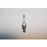 Carter Talon 150 Spark Plug